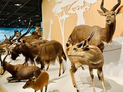 -陕西自然博物馆