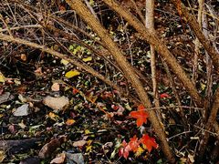 -北京西山国家森林公园