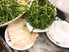 豆苗-木萨火锅店(开鲁路店)