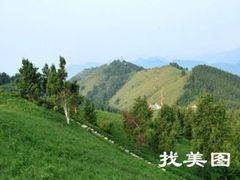 -上海佘山国家森林公园西佘山园