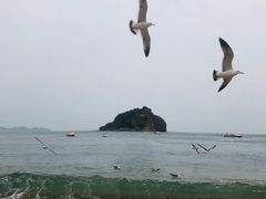-棒棰岛宾馆景区