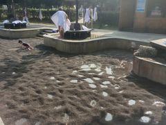 -三江森林温泉度假区