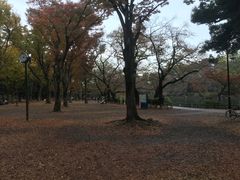 -井之头恩赐公园
