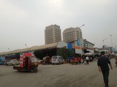 -海吉星市场