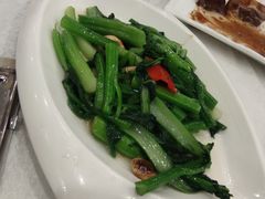 -姚林轩