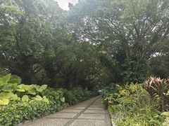 -南宁南湖公园