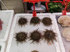 -蚝专家(北滘店)