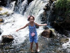 -长白岛森林公园