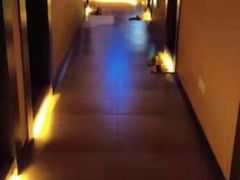 -泰禾馨·泰式按摩精油SPA(新街口金鹰店)