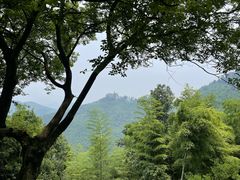 -莫干山风景区