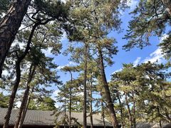 -承德避暑山庄景区