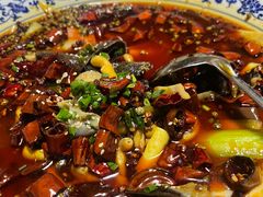 -毛草房(南辛庄街店)