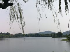 -上海市保健医疗中心(华东疗养院)