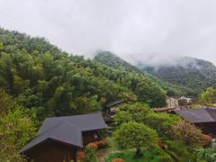 -宁波余姚老柿林山居度假村