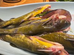 黄腊丁-老凯俚酸汤鱼(多彩城店)