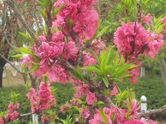 -白塘生态植物园