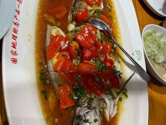 翘嘴鲌鱼-丹江渔村(望京店)