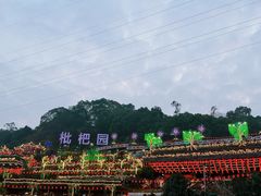 -枇杷园食为鲜火锅(南山店)