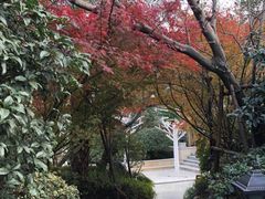 -苏州湾王焰温泉度假酒店