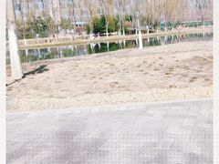 -大兴滨河森林公园