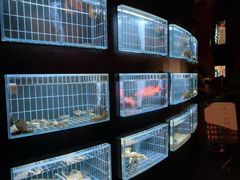 -皇冠明珠鱼翅楼(水上公园店)