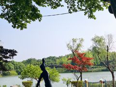 -宜兴龙背山森林公园
