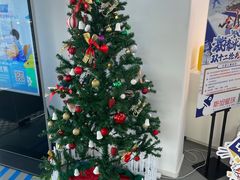 -斯坦星球AI编程·机器人科创·科学实验·信奥·思维·STEM·乐高·竞赛考级(长宁虹桥大融城荟聚中心)