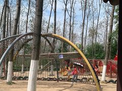 -合肥滨湖国家森林公园