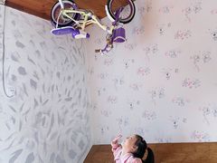 -金山农民画村-枫泾波兰倒置屋