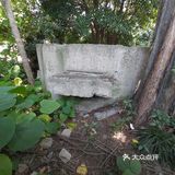 碉堡定为文物，闵行又添一例