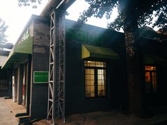 -Salud撒露欧洲冻酸奶(798艺术区店)