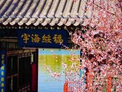 -迎泽公园