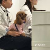 来了就不想走的美甲店