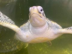 -运城海洋馆
