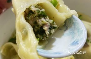 Dumpling Filling