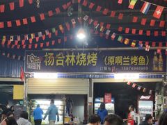 -杨合林啊兰烤鱼