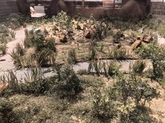 -上海崧泽遗址博物馆