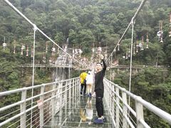 -九龙江国家森林公园