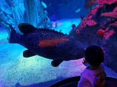 -沈阳海洋探索中心