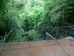 -宁波浙东大竹海景区