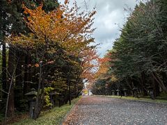 -芸山季·云南野生菌火锅(人民广场来福士店)
