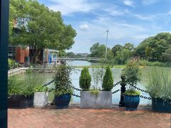 -自然食集西餐厅(泰晤士小镇店)