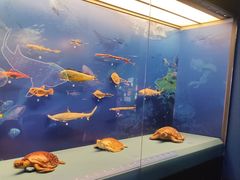 -上海中国航海博物馆