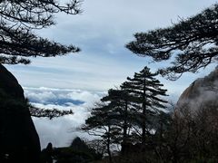 -黄山风景区