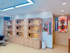 -猫十亿·布偶金渐层·曼基康矮脚猫舍(青年路店)