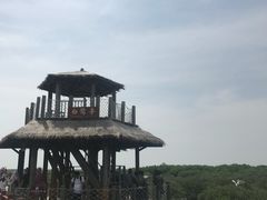 -北海金海湾红树林生态旅游区