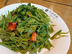 巧拌丝瓜尖-河沿肉饼Beijing Pie(锡拉胡同店)