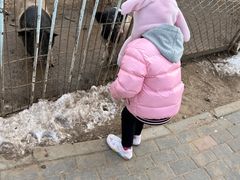 -1982农场