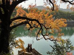 -蒋氏故居