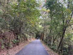 -广州市白云山风景名胜区